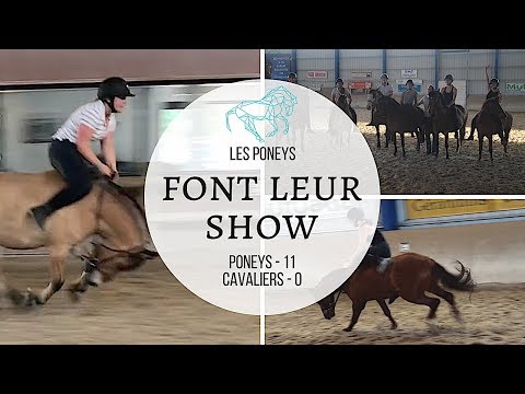 LES PONEYS FONT LEUR SHOW ! TOP À LA CHUTE !