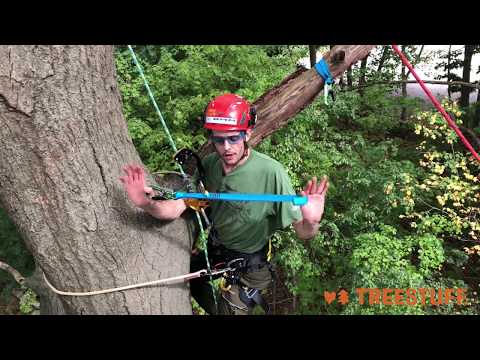 YouTube Thumbnail 5XFAzlTEyaE