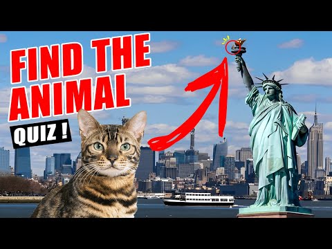 Find the hidden animal in the city | Can you find all the hidden animals?