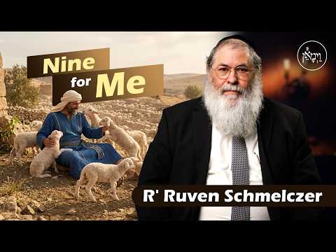 Nine for Me | Rabbi Reuven Schmeltzer
