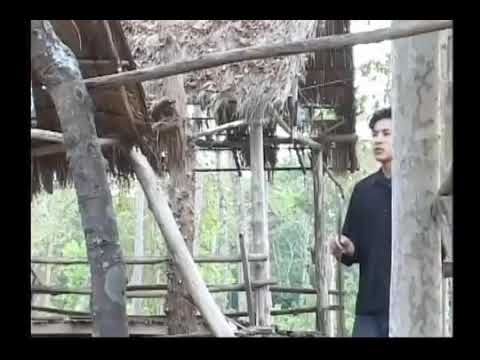 80 xyoo tseem hlub tub yaj