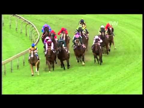 2011 Golden Slipper- Sepoy