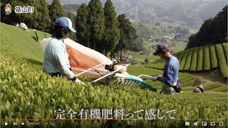 【きやまTV】園部製茶