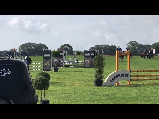 Kingstown show on grass