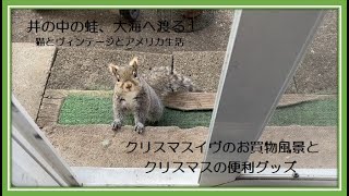クリスマスイブのお買い物風景とクリスマスの便利グッズ/猫とヴィンテージとアメリカ生活/海外生活Vlog