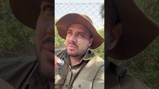 Todo cuidado é pouco com a Jacarés