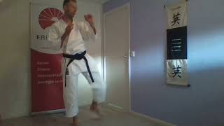 Mawashi-geri voorbeeld