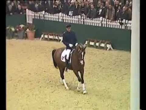 Gut Neuenhof Estobar NRW Privat Hengstschau in Münster Handorf 06/02/2010