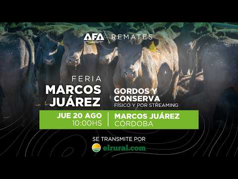 Remate AFA Gordos y Conserva desde Marcos Juárez Córdoba