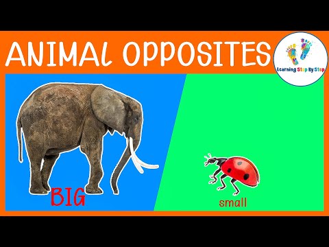 Learn OPPOSITES with ANIMALS For Kids