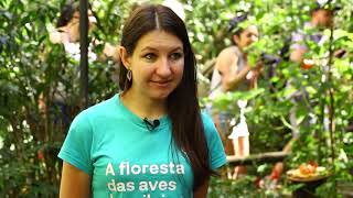 Miniatura do vídeo