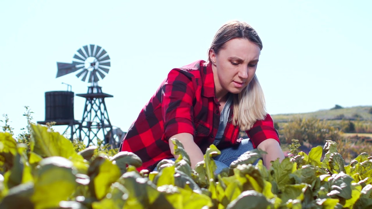 Fetag-RS apresenta: a História da Previdência Rural