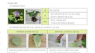 [초등과학 4-2 무료강의] 1. 식물의 생활 ④ 강이나 연못에는 어떤 식물이 살까요? 2