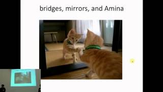 Consensual Hallucination: Fantasy in Public Life