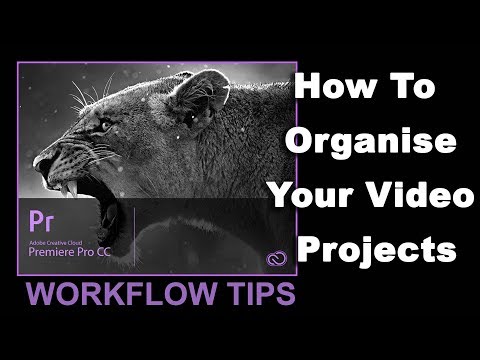 How to Organize Your Premiere Pro Projects