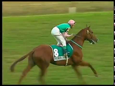 Gran Premio GRAN CRITERIUM G 1 1996 - HSI