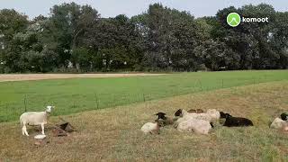 vom Drei Länder Eck über Elstertrebnitz nach Pegau 23 September 2021