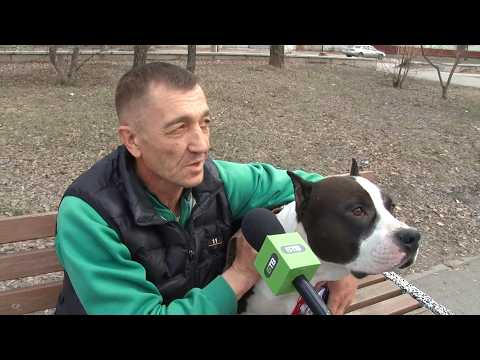 "Я в Бийске. Есть мнение" - влияет ли погода на ваше настроение? (Бийское телевидение)