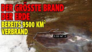 Der größte Waldbrand der Erde - Bereits 9500 km² verbrannt