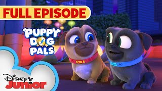 Puppy Dog Pals - More/Less gameplay video by krich461, 23:57 duration