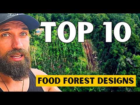 Top 10 Syntropic Farms I’ve Visited (Design Patterns You Can Copy)