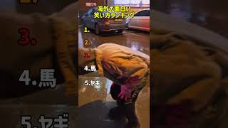 マジでつられるわ〜www #memes #面白い #海外 #おすすめ #fypシ