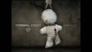 Terminal Choice - Killer