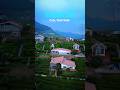 Best Resorts In Ooty Budget Friendly Resorts In Ooty Ooty Stay For Couples Ooty Staycation