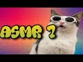 Crunchycat Eats Crunchy Things 7 Cat ASMR
