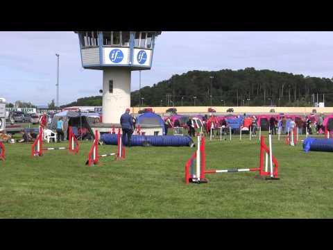 Rune og Rambo H2L - Trønderhelga 2011 (Selbu)