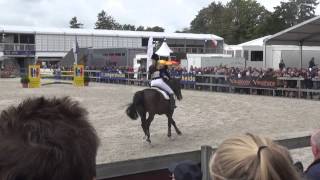 Video von Compadre van de Helle