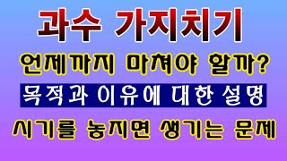 [텃밭농부. 1,320]  과수 가지치기. 언제까지 마쳐야 하나? 그 목적과 이유. #과수전지
