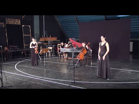 Youtube-Video