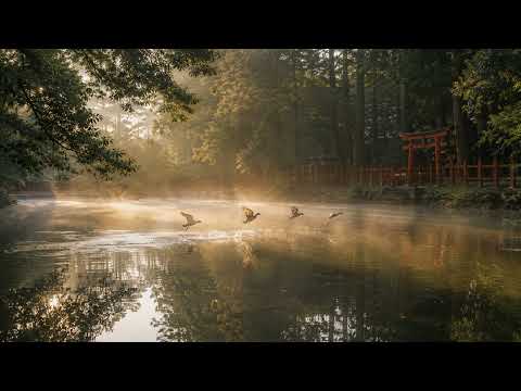 Today's Wisdom Reading 第020回 — 手放す方が、容易いことがある | Travel with Masaru