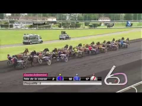 Voltigeur de Myrt - Critérium des 4 ans 2013