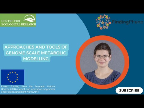 Approaches and Tools of Genome Scale Metabolic Modelling