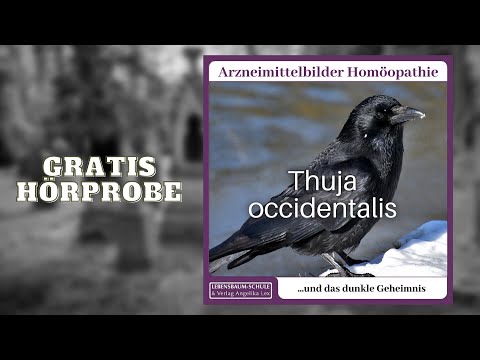 Thuja occidentalis und das dunkle Geheimnis [Arzneimittelbilder Homöopathie]