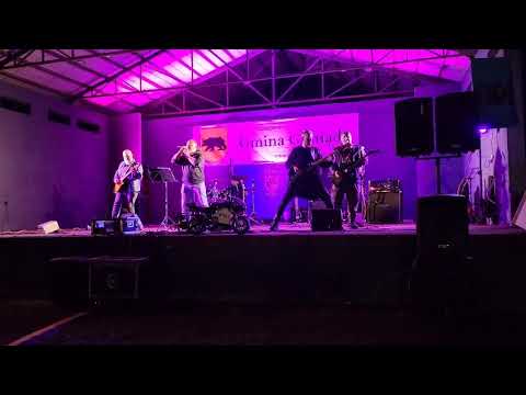 Play Video Youtube Video