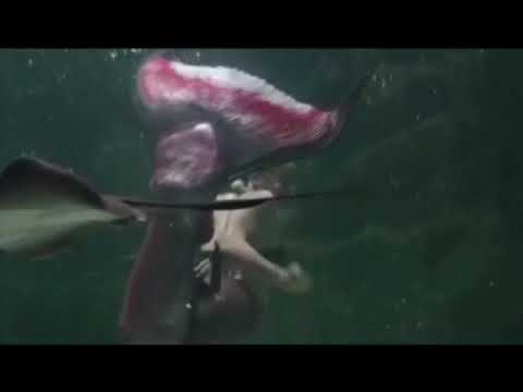 Mermaid Performance Reel thumbnail, click to watch on YouTube