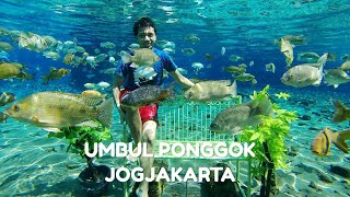 preview picture of video 'Under Water at UMBUL PONGGOK JOGJA | X-Plore #1'
