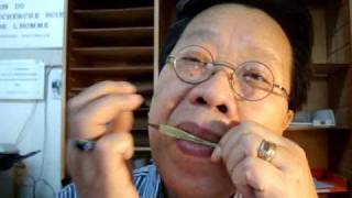 Video thumbnail for Oh Susannah with the Vietnamese Dan Moi Jew's harp by QuangHai Tran