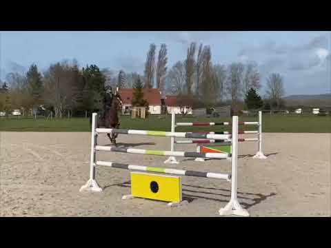 PETRUS DE BRANDEGEM*GFE et Valentin Besnard - Séance d'entrainement