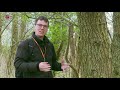 Met een loep het bos te lijf levert veel (korst)mossoorten op