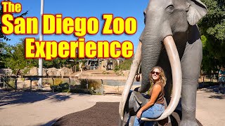 San Diego Zoo Experience - What to Expect!