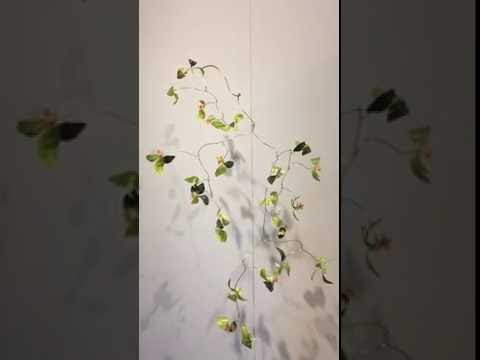 Night Blooming Jasmine - a suspended fine art mobile video