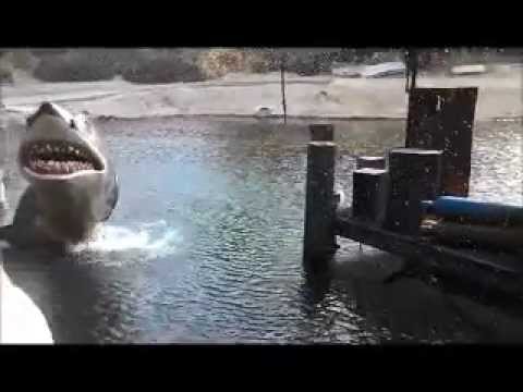 Jaws Universal Studios Hollywood Studio Tour Tram Bruce The Shark Week
