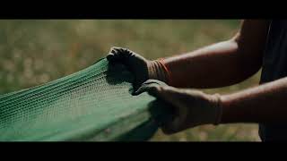 La raccolta di Olio Pujje