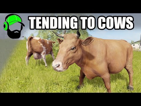 Farming Simulator 17 - Tending to animals - Cows