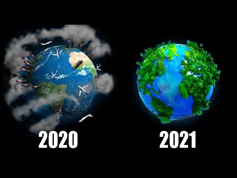 Why Is 2020 The Best Year In Human History?