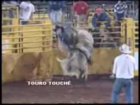 Rodeio TOURO TOUCHÉ